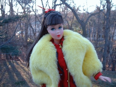 Barbie American Girl