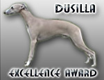 Dusilla Whippets, Finland - Awards Sites 2.5
