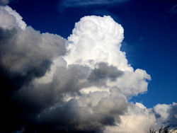 Cumulus being eaten by storm cloud