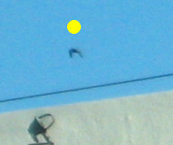 UFO at 200% enlargement showing effect of cloaking device