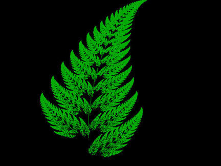 Fern Leaf Fractal