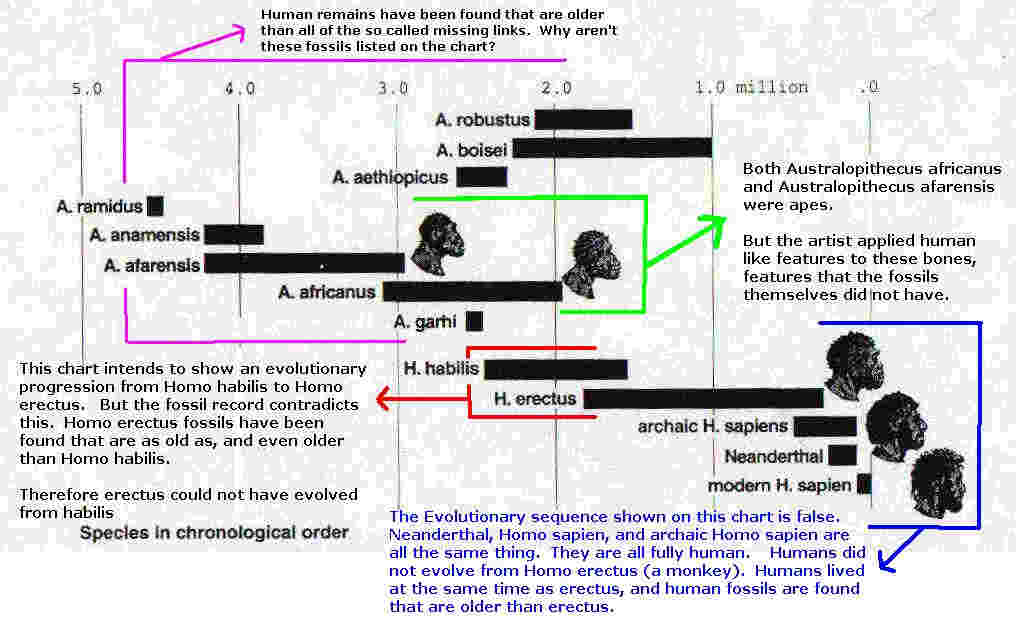 Fake Family Tree