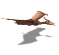 ptero flying
