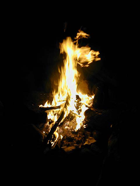 Campfire on shore