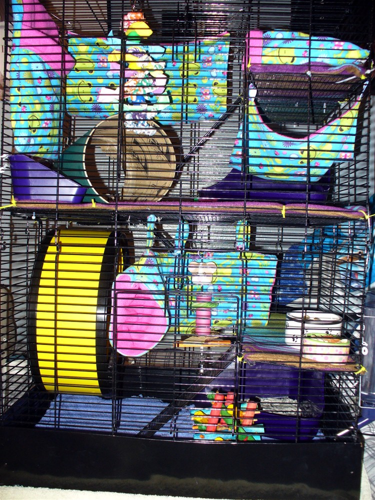 rat cage ideas