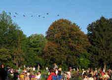 A flock of birds fly over the crowd in formation