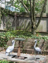 Picture of metal cranes and verdigris bird bath in front of raised crab apple and ivy-covered fence