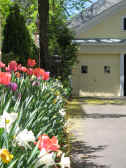 Picture of spring flowers bordering the driveway