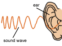 Sound waves and music. Click here to learn more.