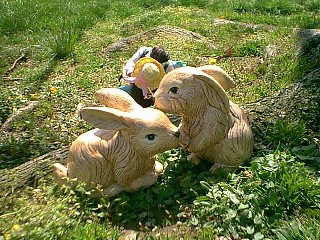 Max,Liz, and Bunnies