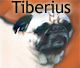 Tiberius, himself