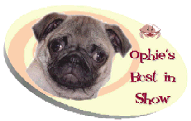 Ophie's Best In Show Award!