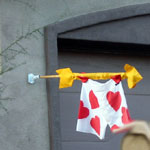 Valentine shorts-banner and Arrow!