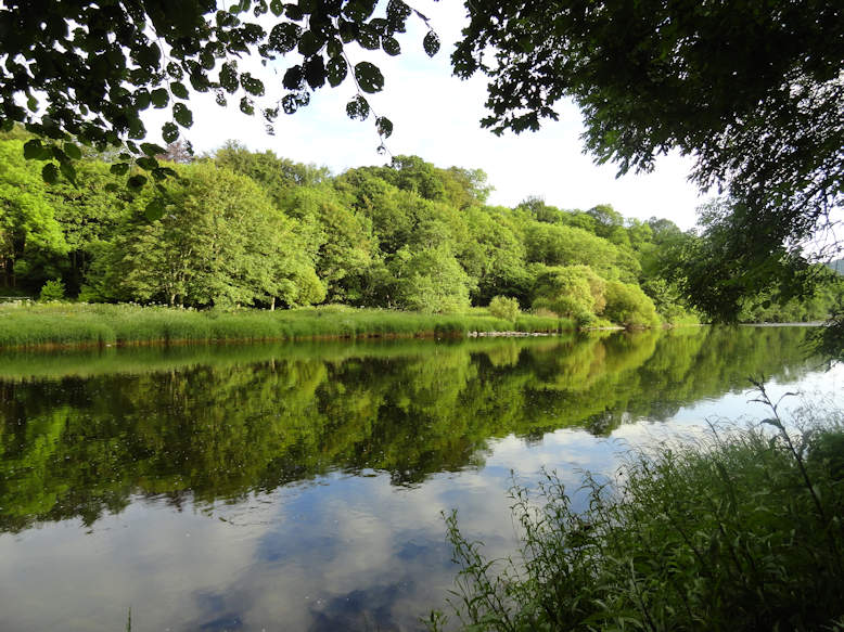 River Tweed - Scotland 2014