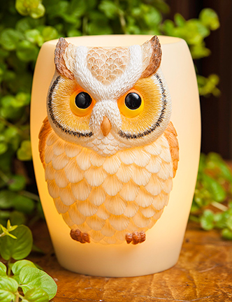 Hoot Owl Night Lamp