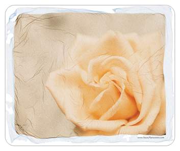 White Rose Mouse Pad