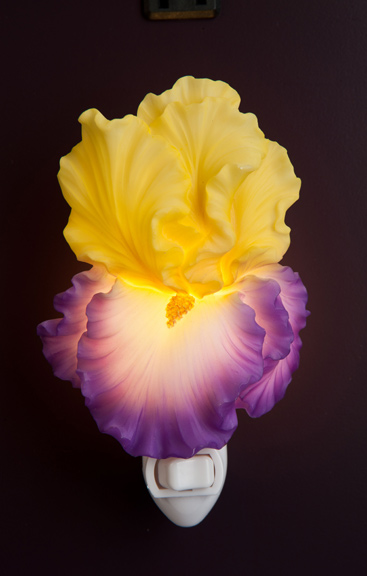 Yellow Crown Bearded Iris Night Light