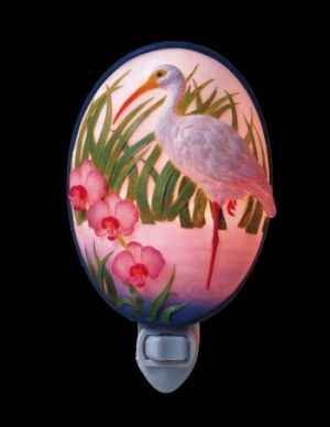 Egret - Ibis and Orchids Night Light>
			
			<BR>
			
Egret<br>Ibis and Orchids Night Light<br>
NOT Stained Glass</a>
			
			</FONT>
			</TD>

			</TD>

</tr>
</table>
	
<TABLE CELLSPACING=