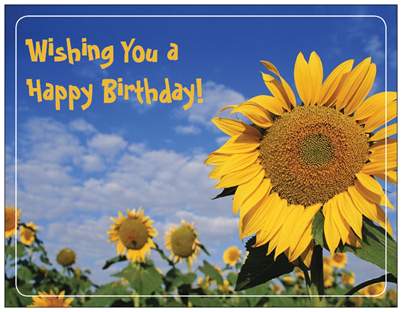 Happy Birthday Sunflower Refrigerator Magnet