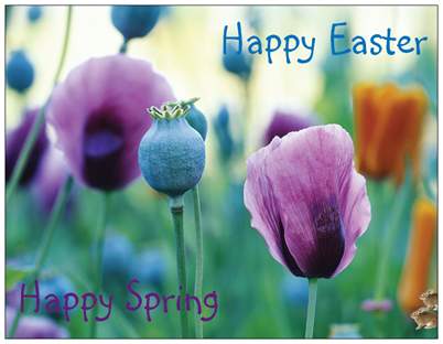 Happy Easter Happy Spring - Front