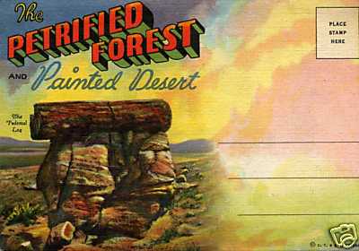 Petrified Forest/Painted Desert