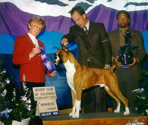 Copper wins his 2nd Major win at just 10 months old - 2/14/02