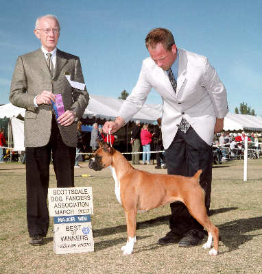 Genny - Winners Bitch / Best of Winners - Scottsdale Dog Fancier