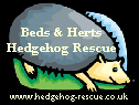 Beds & Herts Hedgehog Rescue