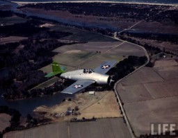 Grumman F4F-3 over Long Island taken by Life VF-41
                Wildcat in a pre war color scheme magazine photographer