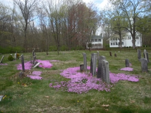 Springtime at Union Cemetery