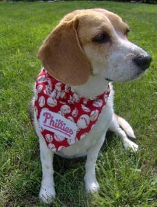 Daisy is a Phillies Fan-(I am not)