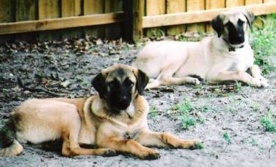 Sisters Nadi & Kele