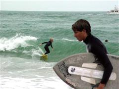 Termite takes advantage of the surf