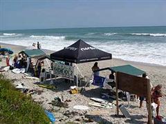 Charity Skim and Surf Fest