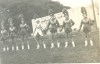 MHS Majorettes 1963