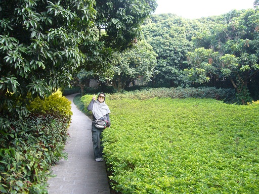 桃花農場 FoShan 2011 