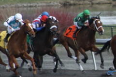 Horse Racing