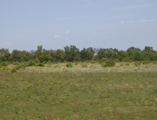 Future site of Squadron Field