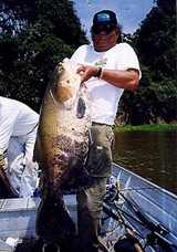 Record Black Pacu