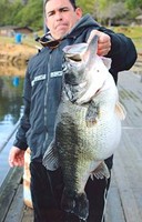 San Diego Fish Online Photo25lb record