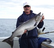 Big King Salmon