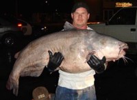 Record Mississippi Catfish From MSNBC.com