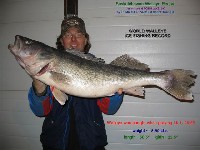 SaskTrophies.com Ice Fishing Record Walleye Photo