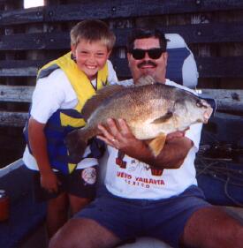 Cody's Sheephead