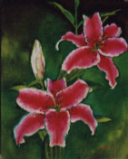 a painting of pink stargazer lilies