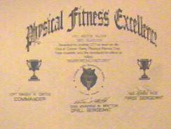 U.S Army Physical Fitness Award of Excellence