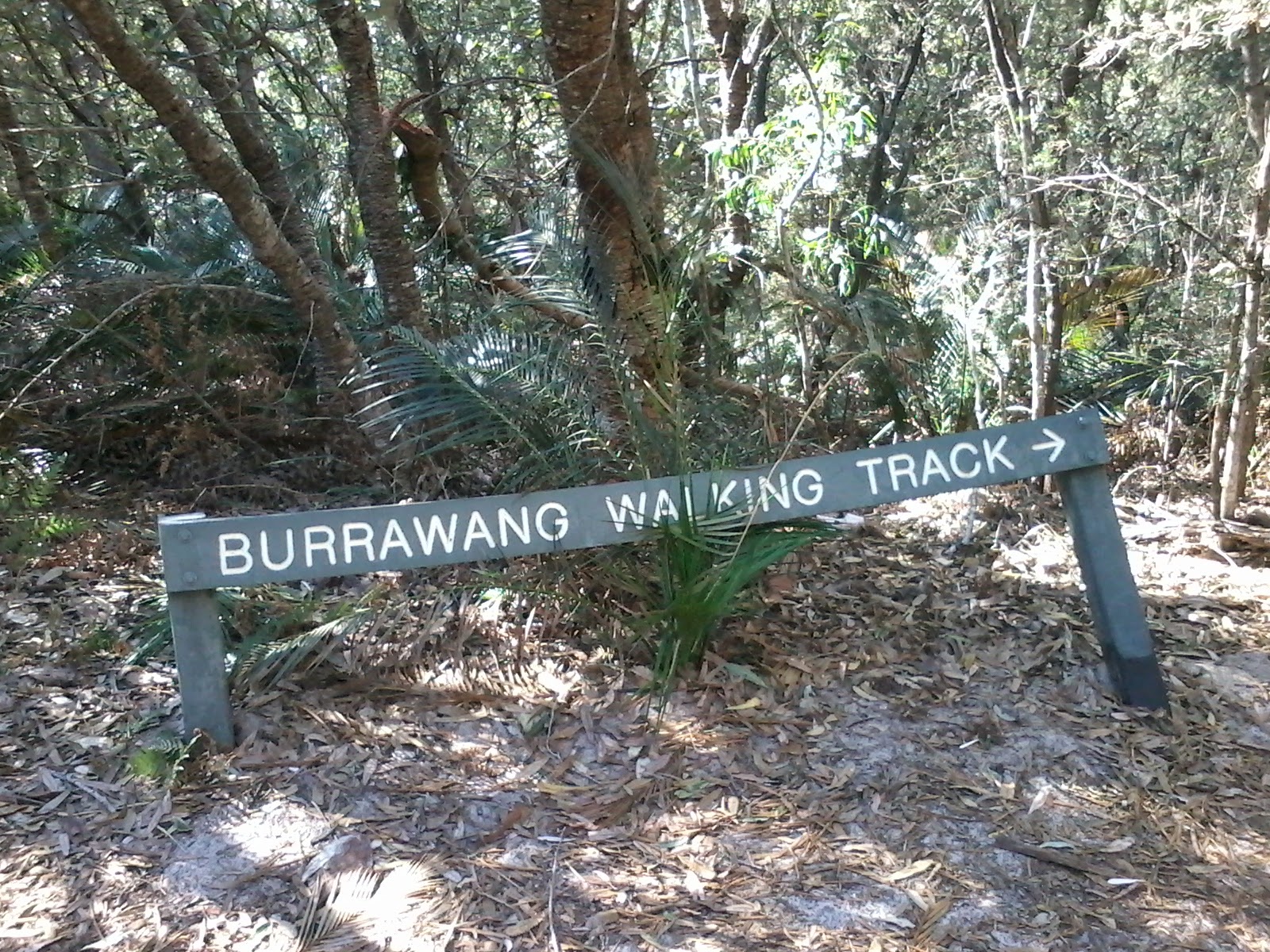 Wyrrabalong National Park