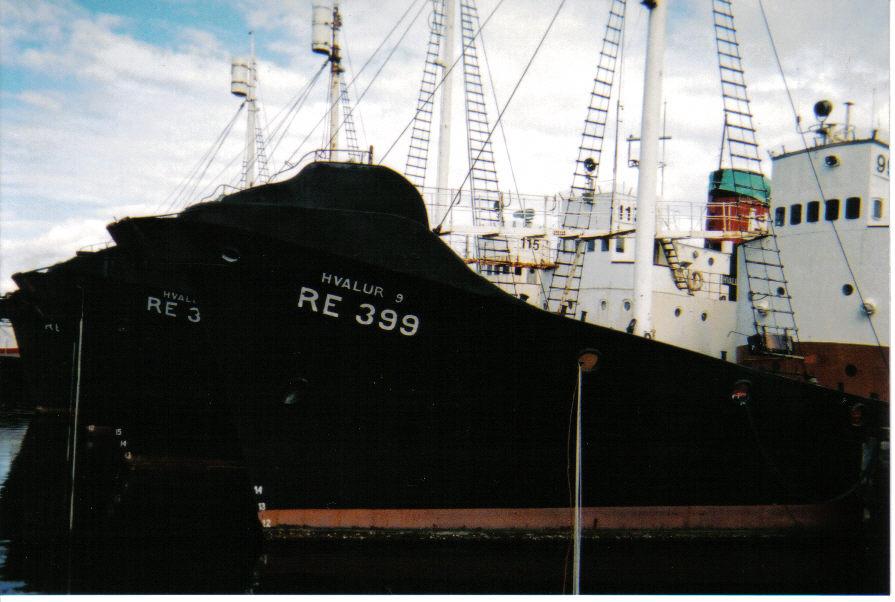 A ship called Hvalur 9 docked in Reykjavik Harbor in August 2003. When I returned nearly 3 years later, the ship was in the same place -- as you can see in the next photo!