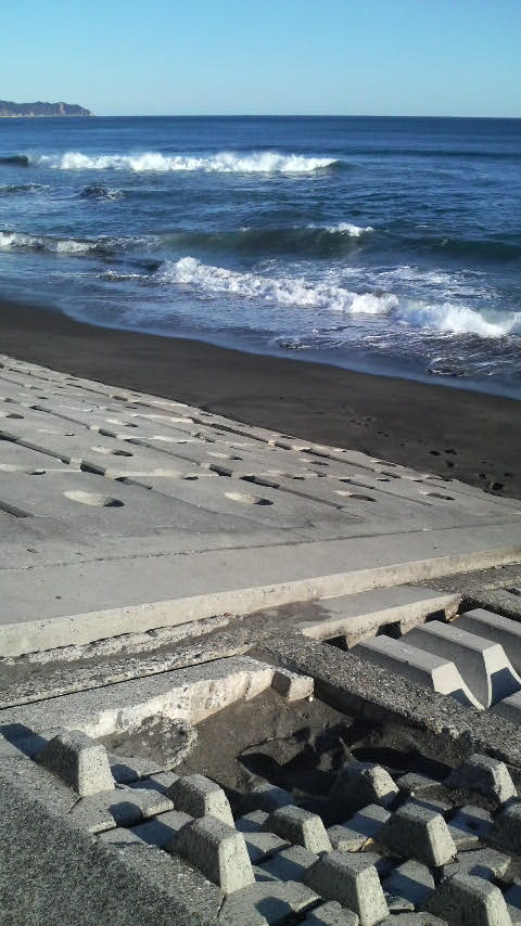 Black shores of Chiba Prefecture, 2009