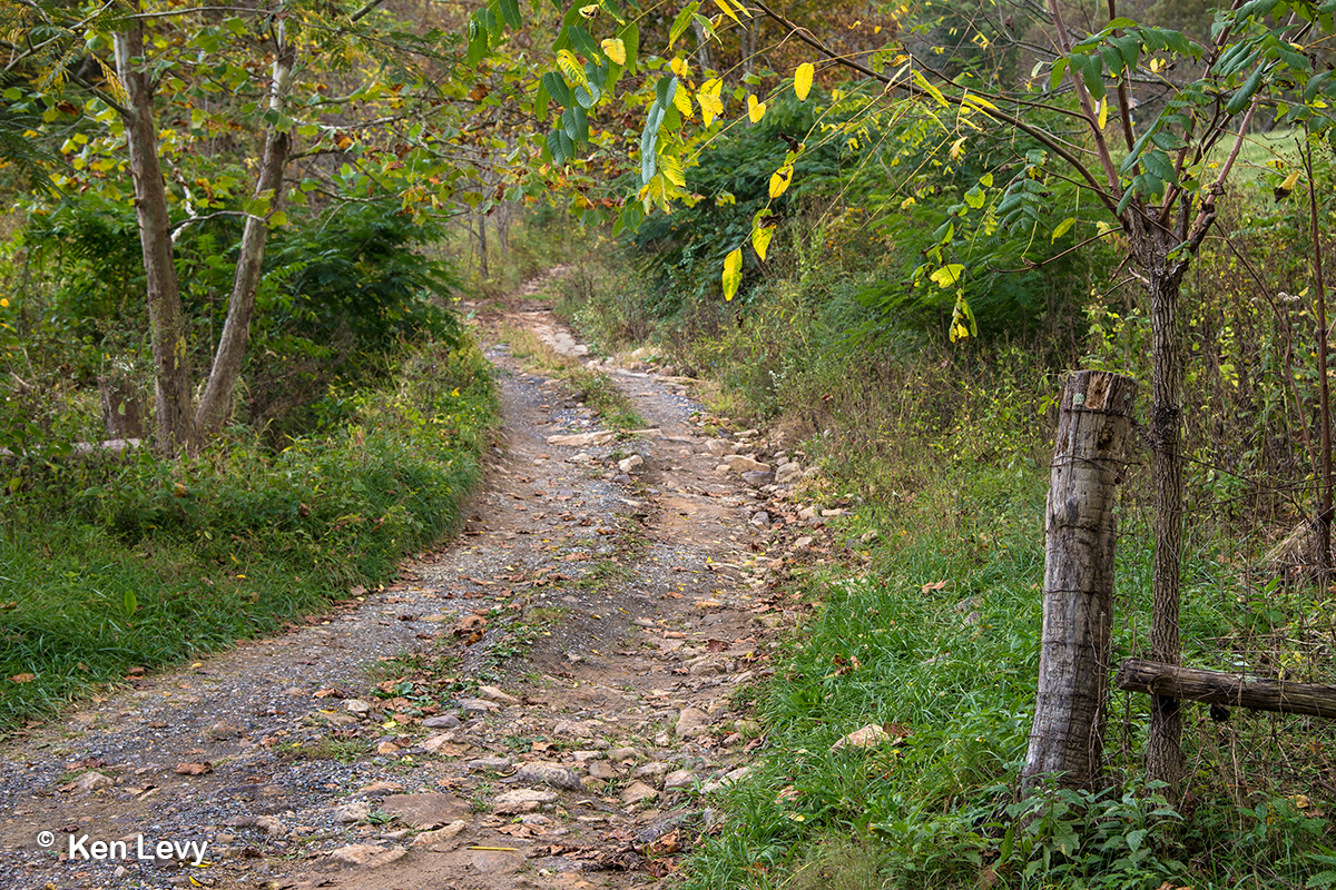 Jack Daniels Lane photo